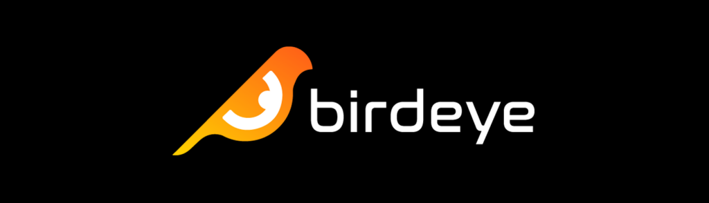 bird_eye-1024x294-1