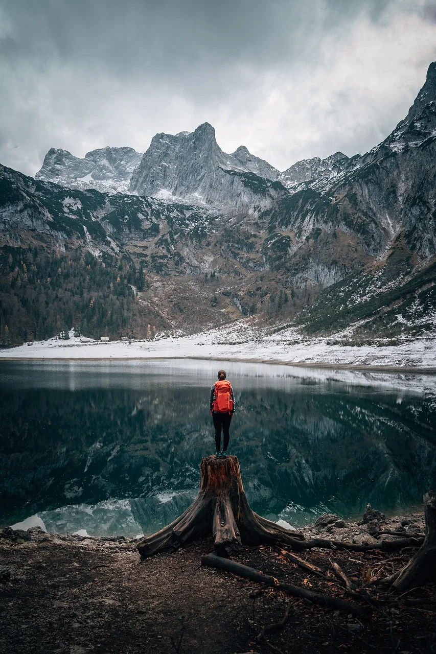 nature-6817376_1280-1